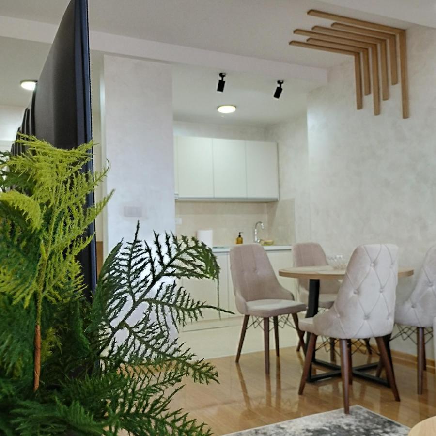Vukadin Jovanke Jeftanovic 3 Apartament *